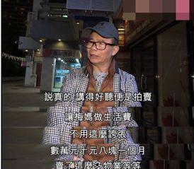 梅艳芳 二哥 爆料视频,家族往事与演艺生涯幕后真相  第1张